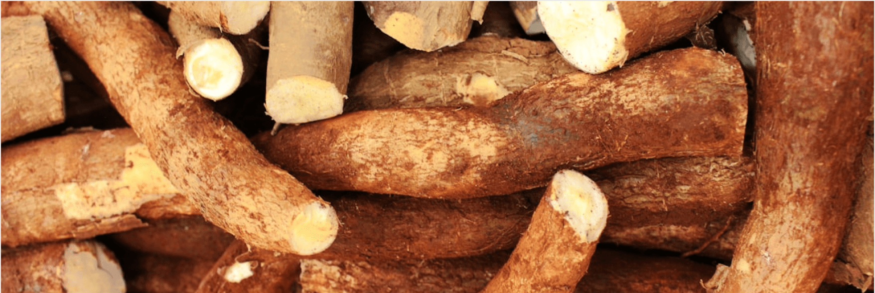 Production to Market